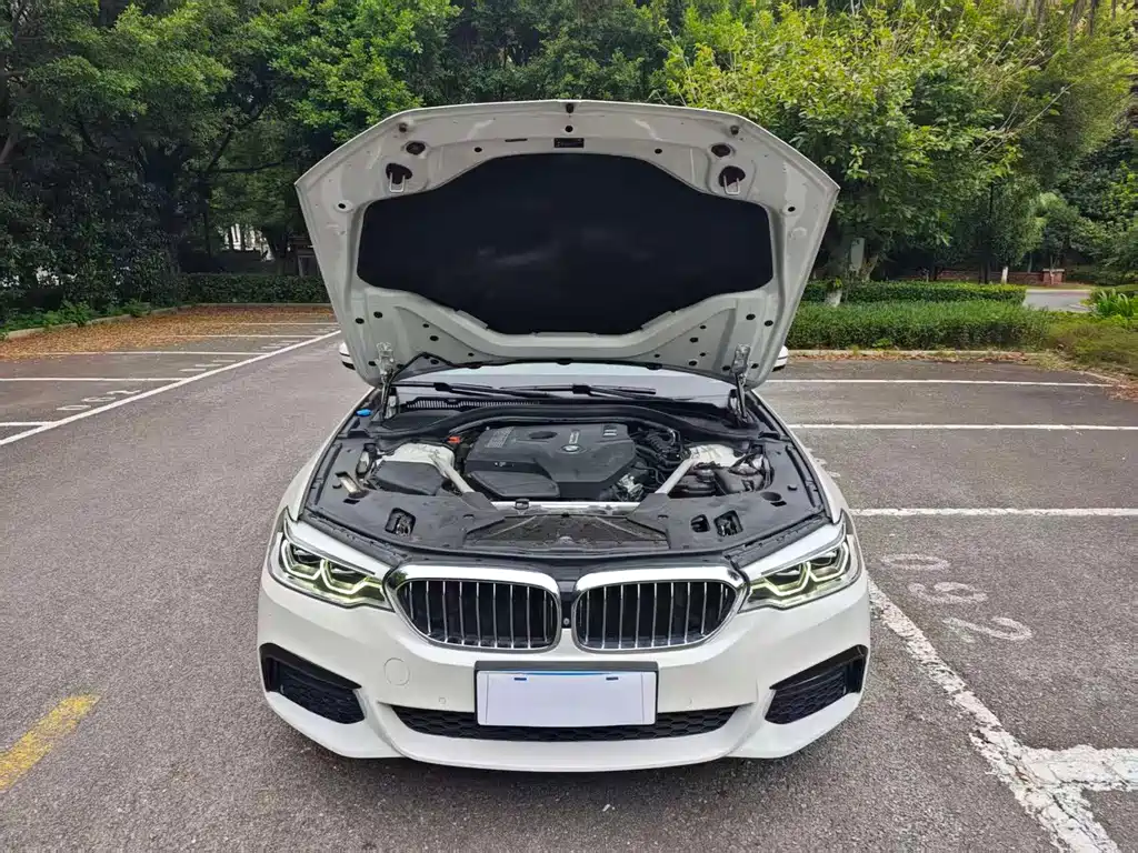 BMW 5 Series — фото 15