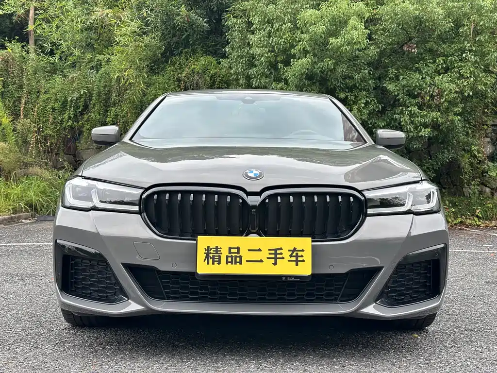 BMW 5 Series (Import) — фото 2