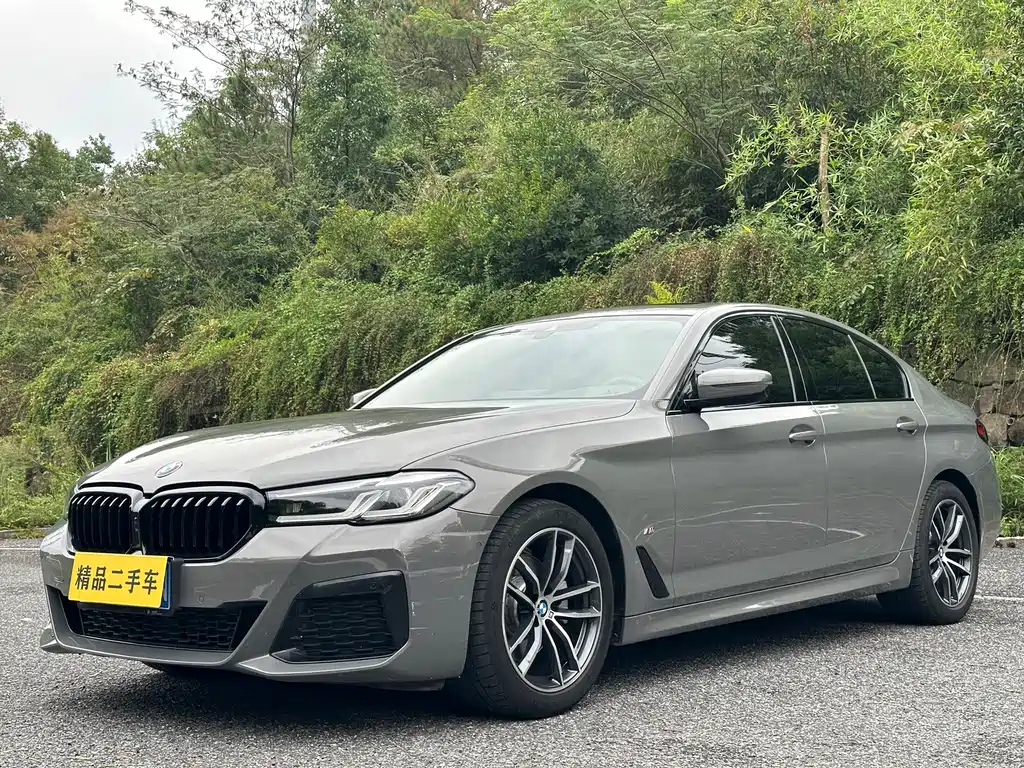 BMW 5 Series (Import)