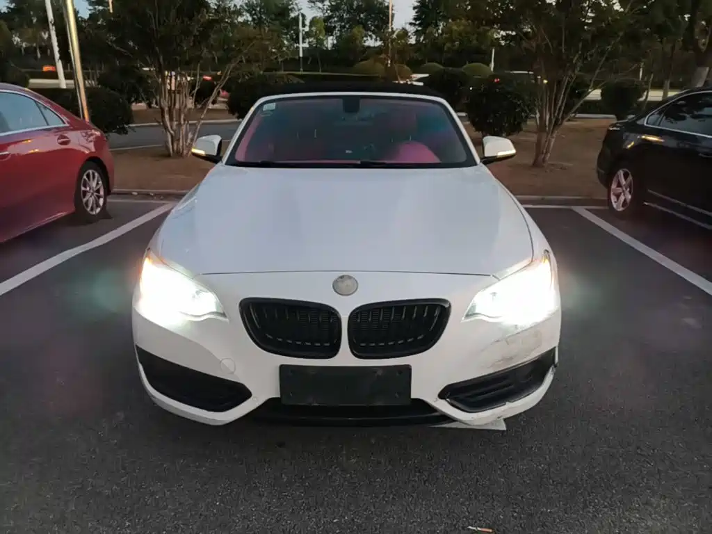 BMW 2 Series (Import) — фото 3