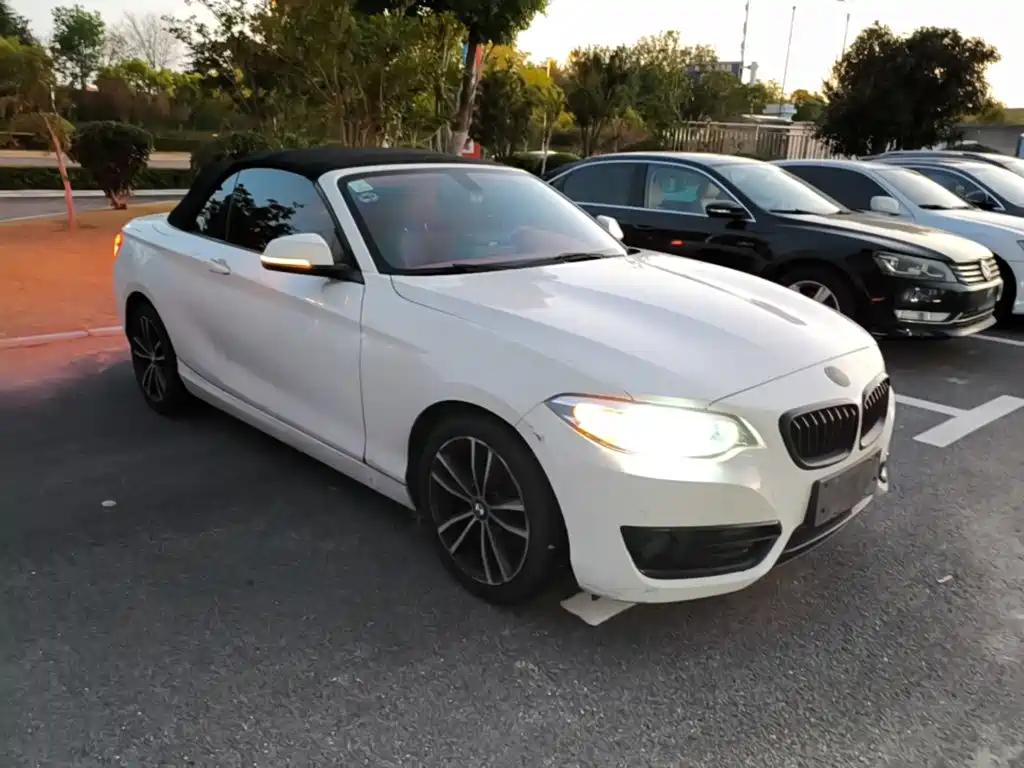 BMW 2 Series (Import) — фото 4