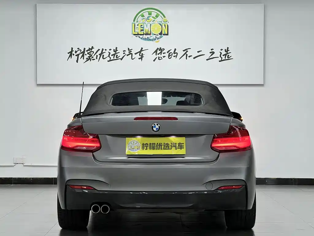 BMW 2 Series (Import) — фото 11
