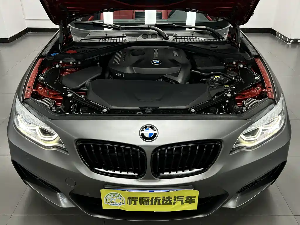 BMW 2 Series (Import) — фото 15