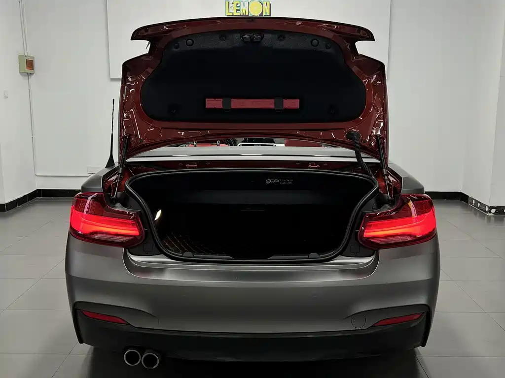 BMW 2 Series (Import) — фото 16