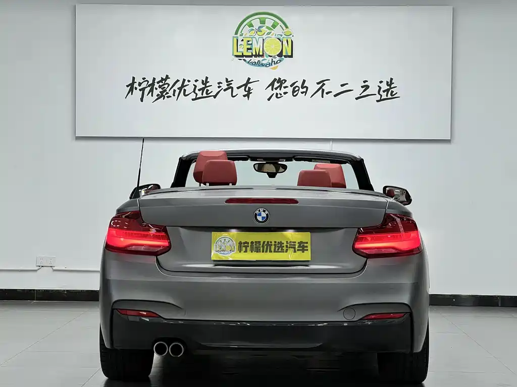 BMW 2 Series (Import) — фото 10