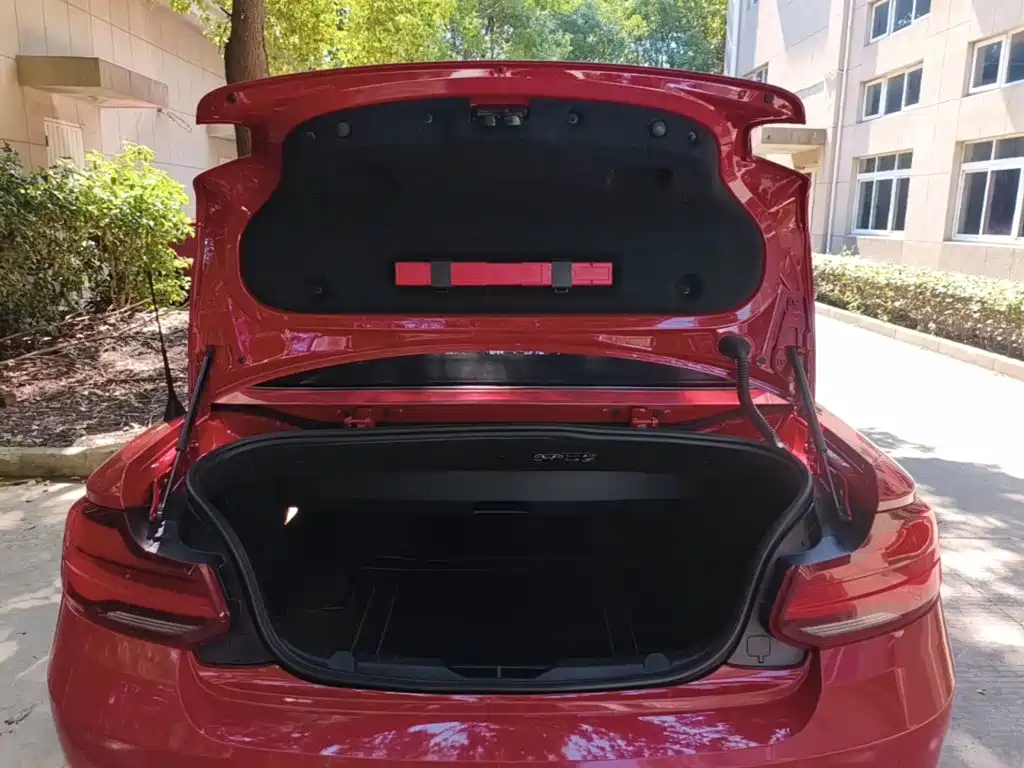 BMW 2 Series (Import) — фото 19