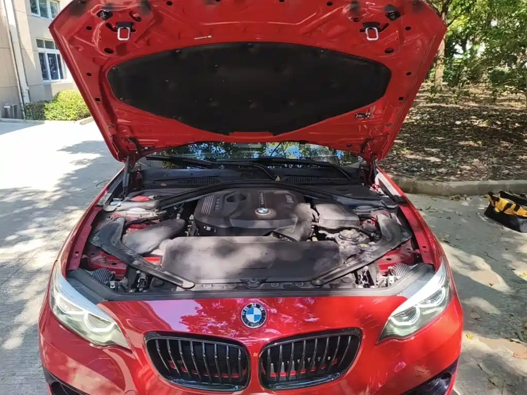 BMW 2 Series (Import) — фото 20