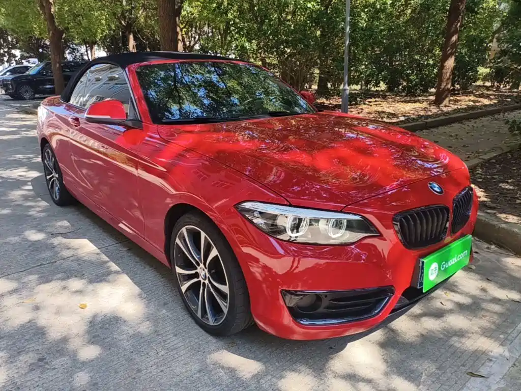 BMW 2 Series (Import) — фото 4
