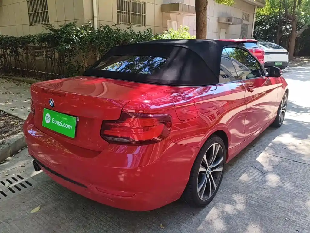 BMW 2 Series (Import) — фото 7