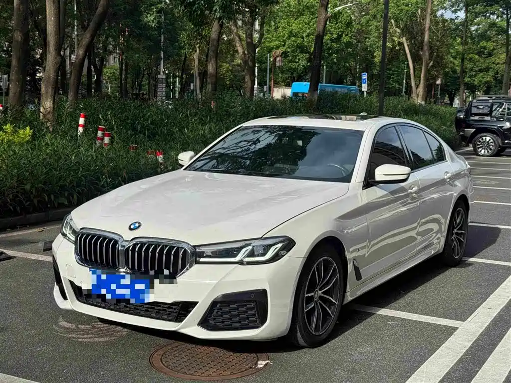 BMW 5 Series (Import)