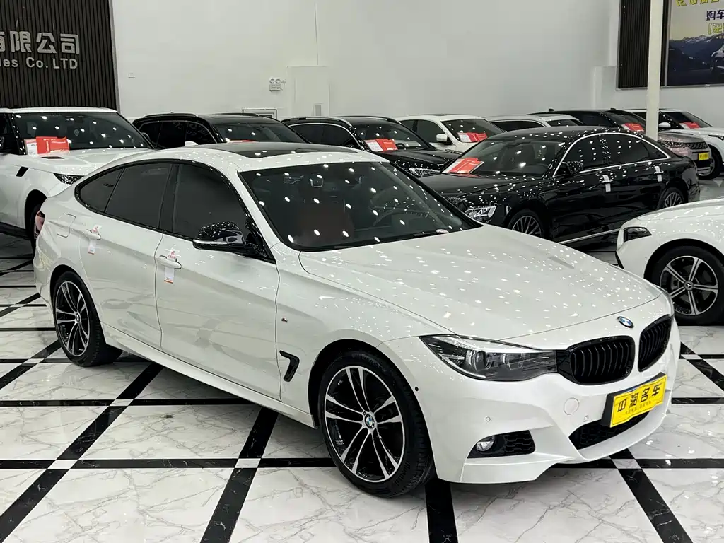 BMW 3 Series GT — фото 3