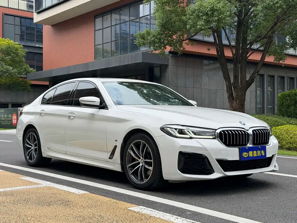 BMW 5 Series (Import) — фото 3