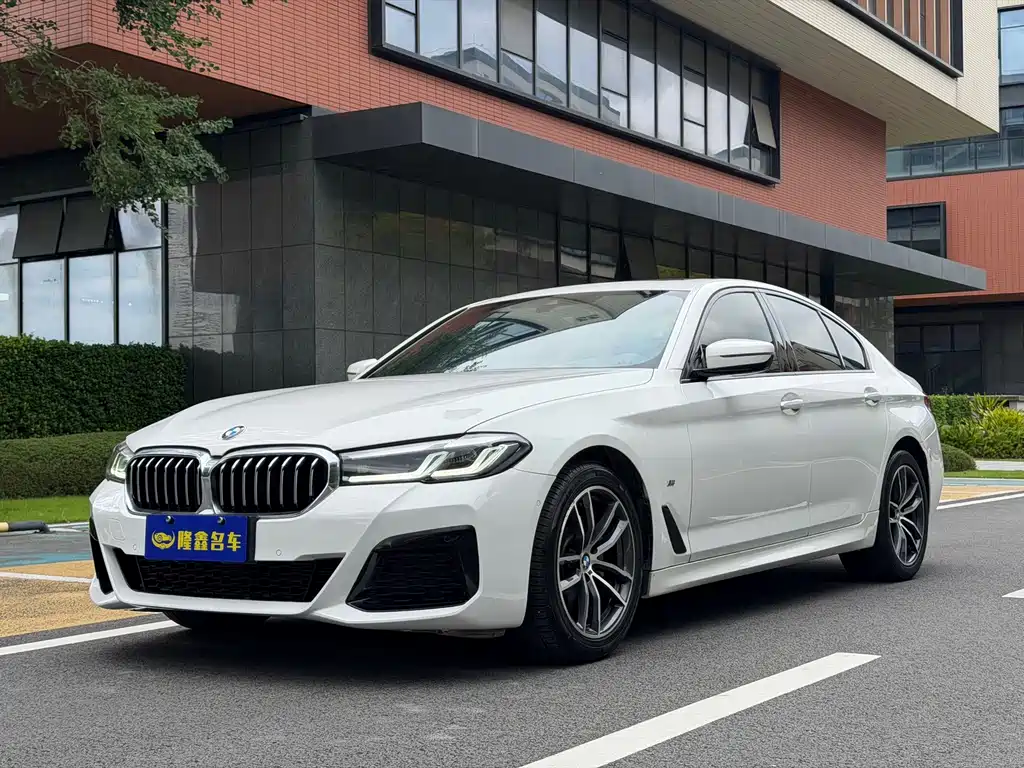 BMW 5 Series (Import)