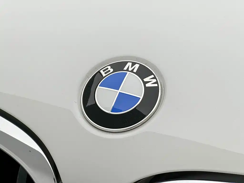 BMW X4 — фото 26