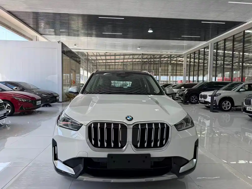 BMW X1 — фото 2