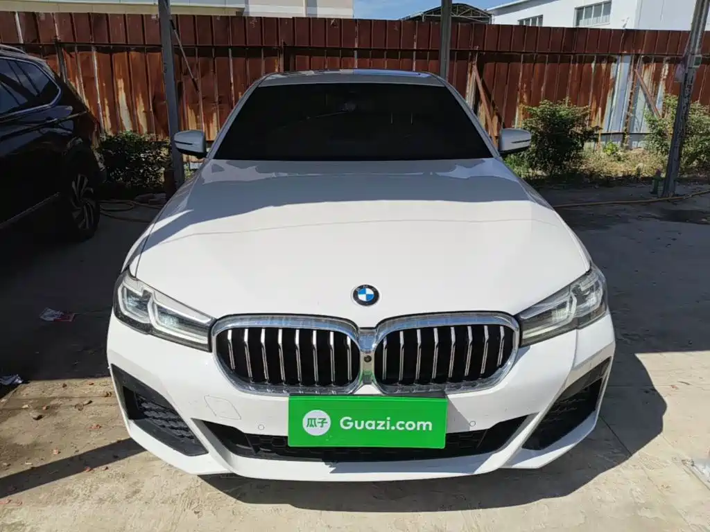 BMW 5 Series (Import) — фото 3