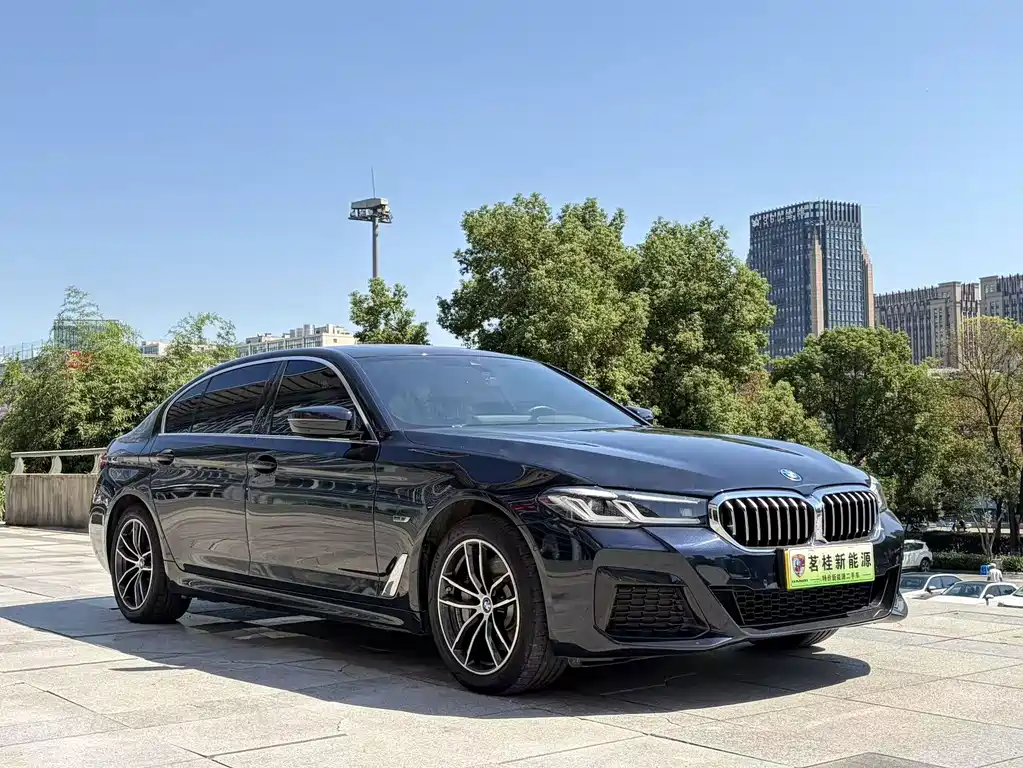 BMW 5 Series New Energy — фото 6