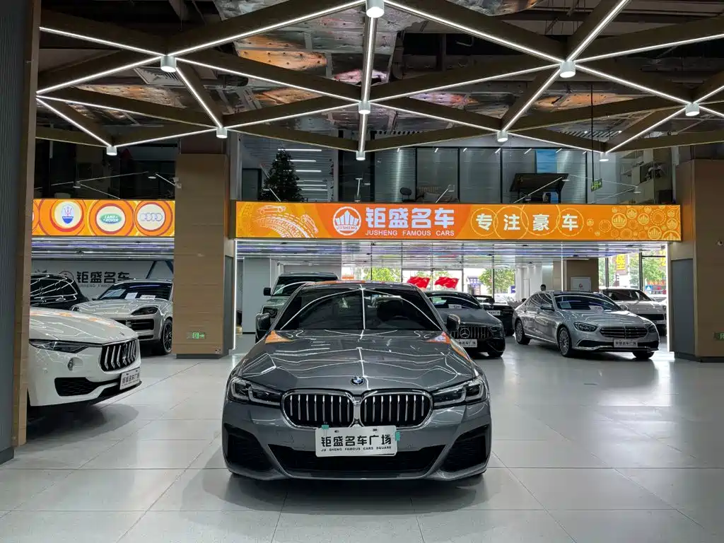 BMW 5 Series (Import) — фото 15
