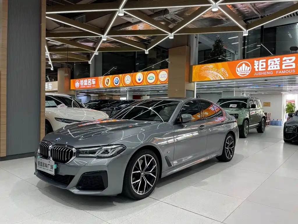 BMW 5 Series (Import)