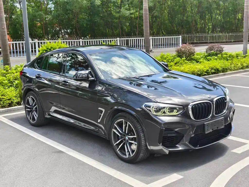 BMW X4 M — фото 10