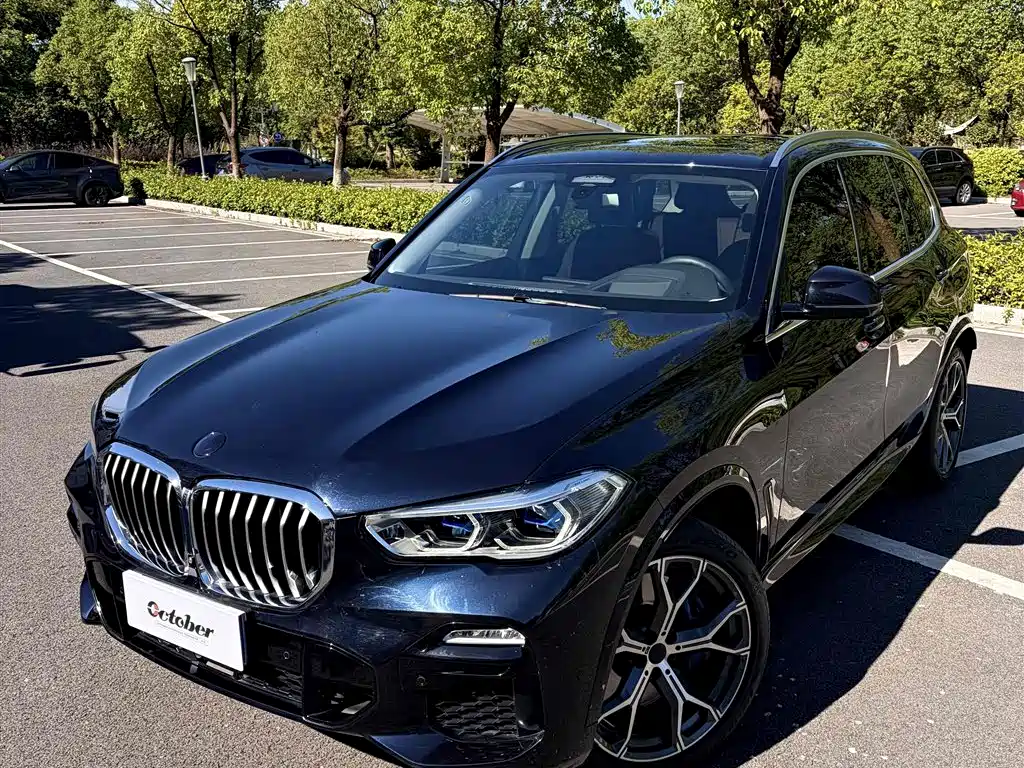 BMW X5 (Import) — фото 2