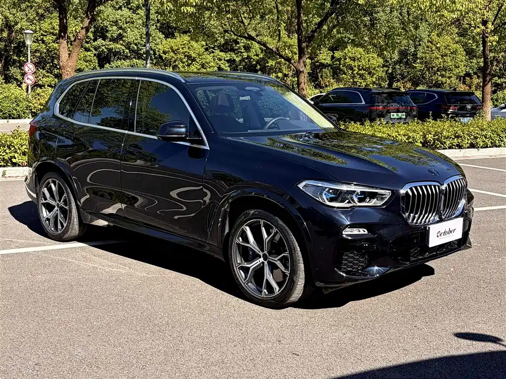 BMW X5 (Import) — фото 4