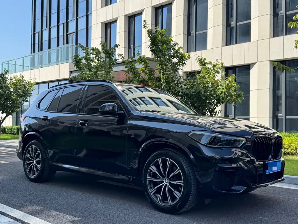 BMW X5 (Import) — фото 6