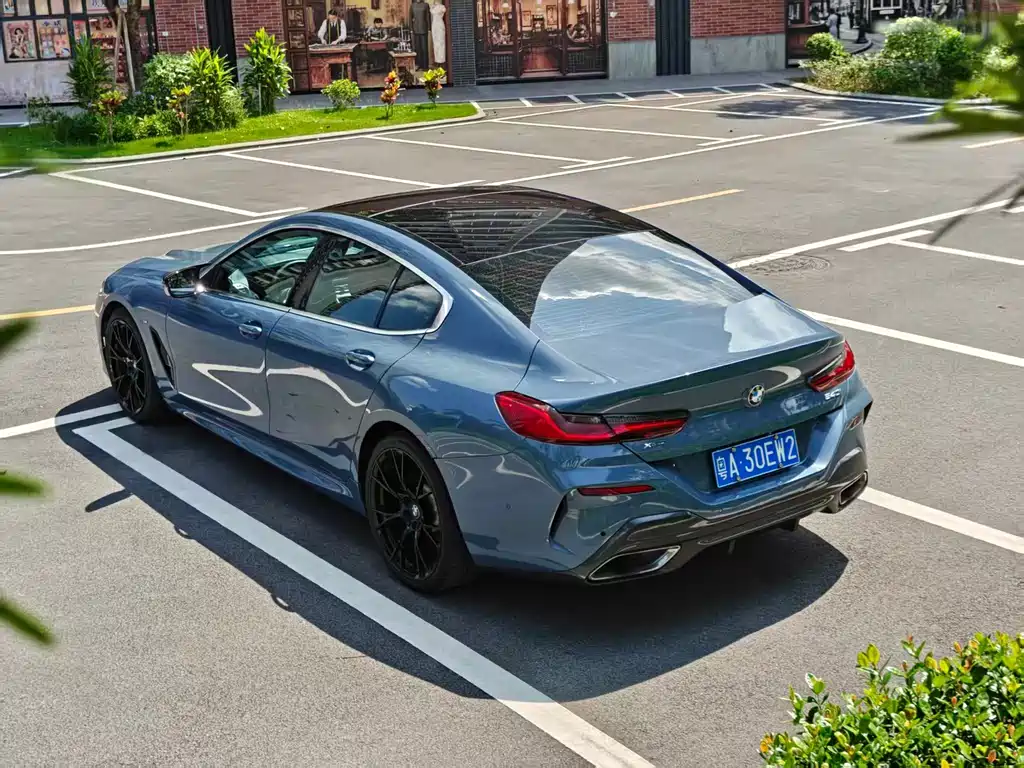 BMW 8 Series — фото 11