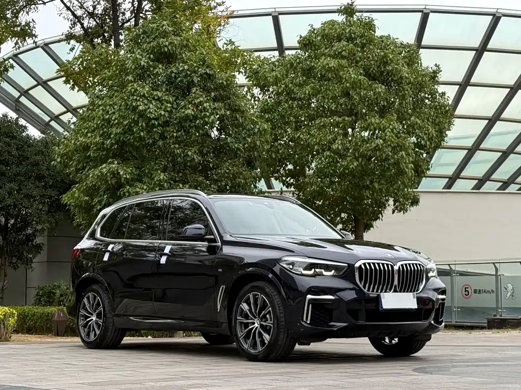 BMW X5 — фото 3