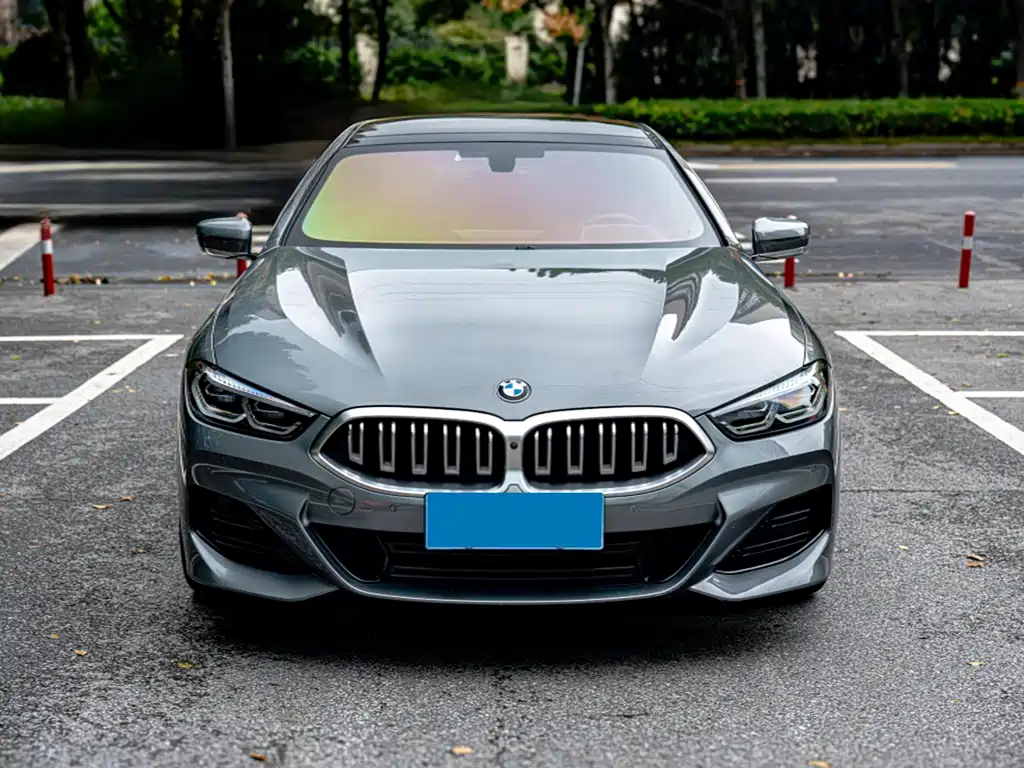 BMW 8 Series — фото 2