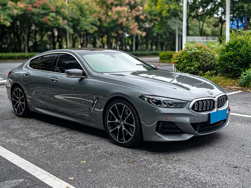 BMW 8 Series — фото 3