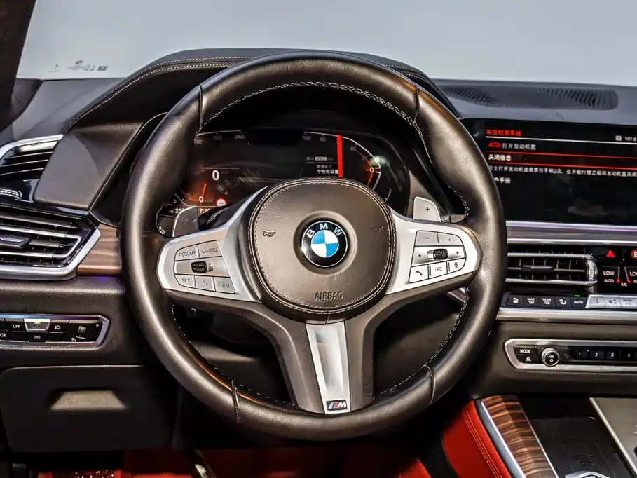 BMW X5 — фото 25