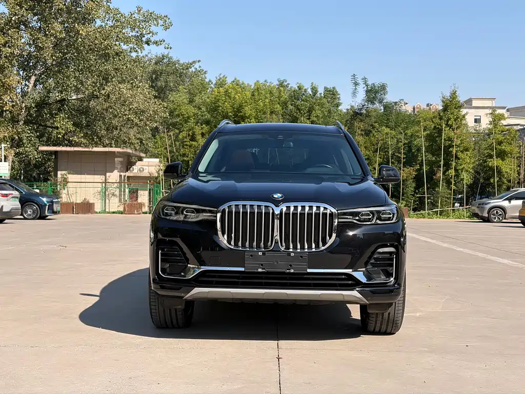 BMW X7 — фото 2