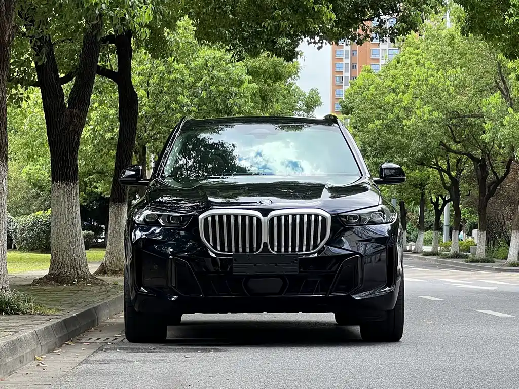 BMW X5 — фото 2