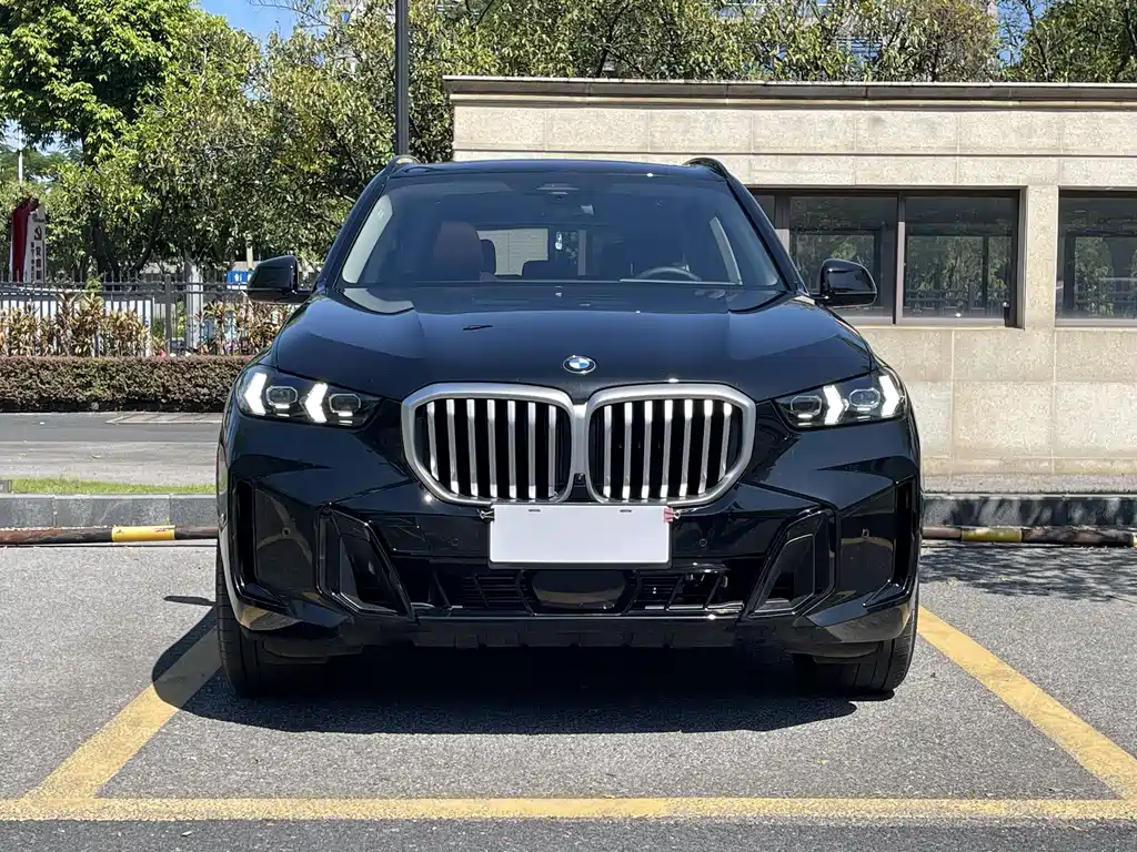 BMW X5 — фото 2
