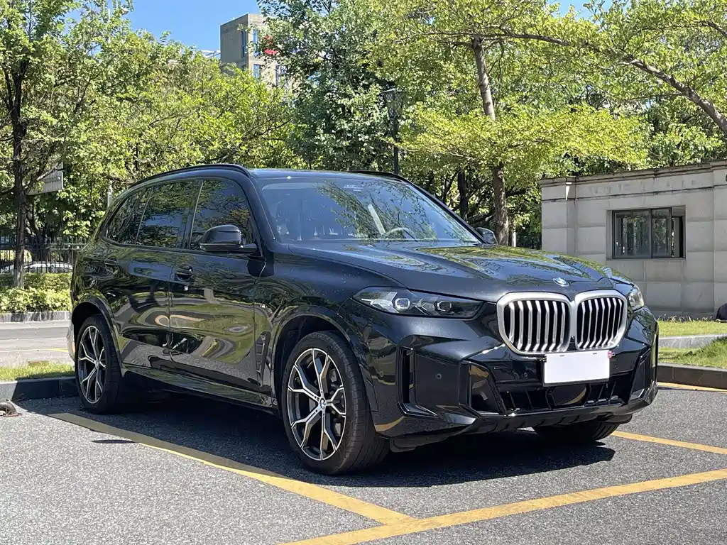 BMW X5 — фото 3