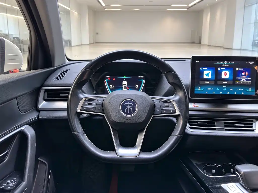 BYD Pro — фото 14