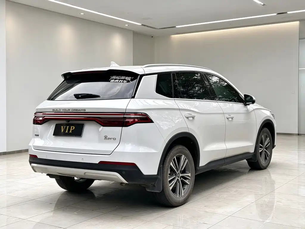 BYD Pro — фото 4