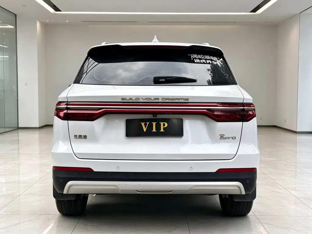 BYD Pro — фото 5