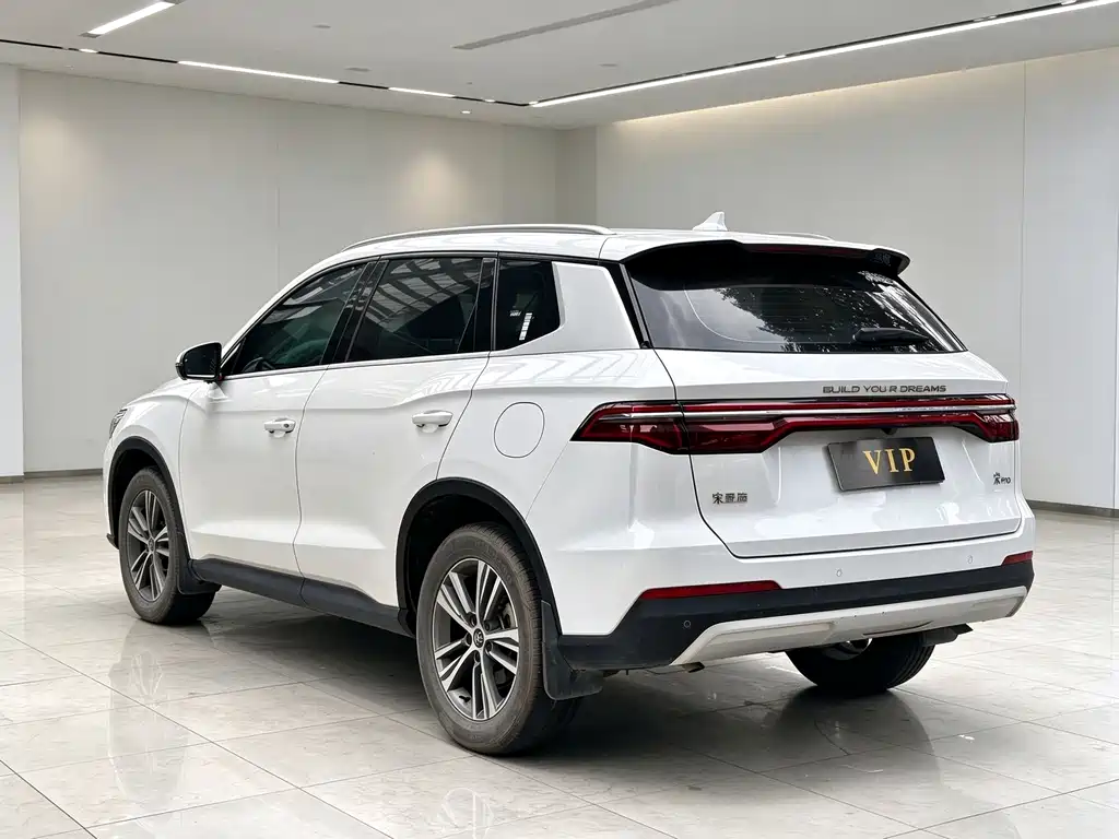 BYD Pro — фото 6