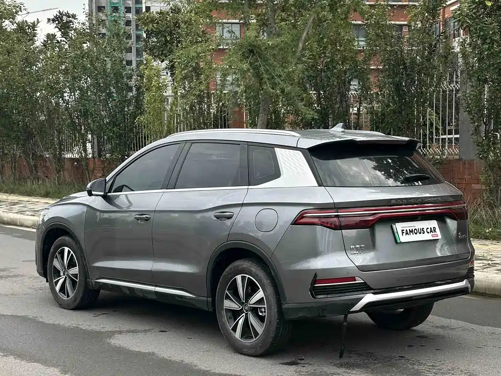 BYD Pro New Energy — фото 4