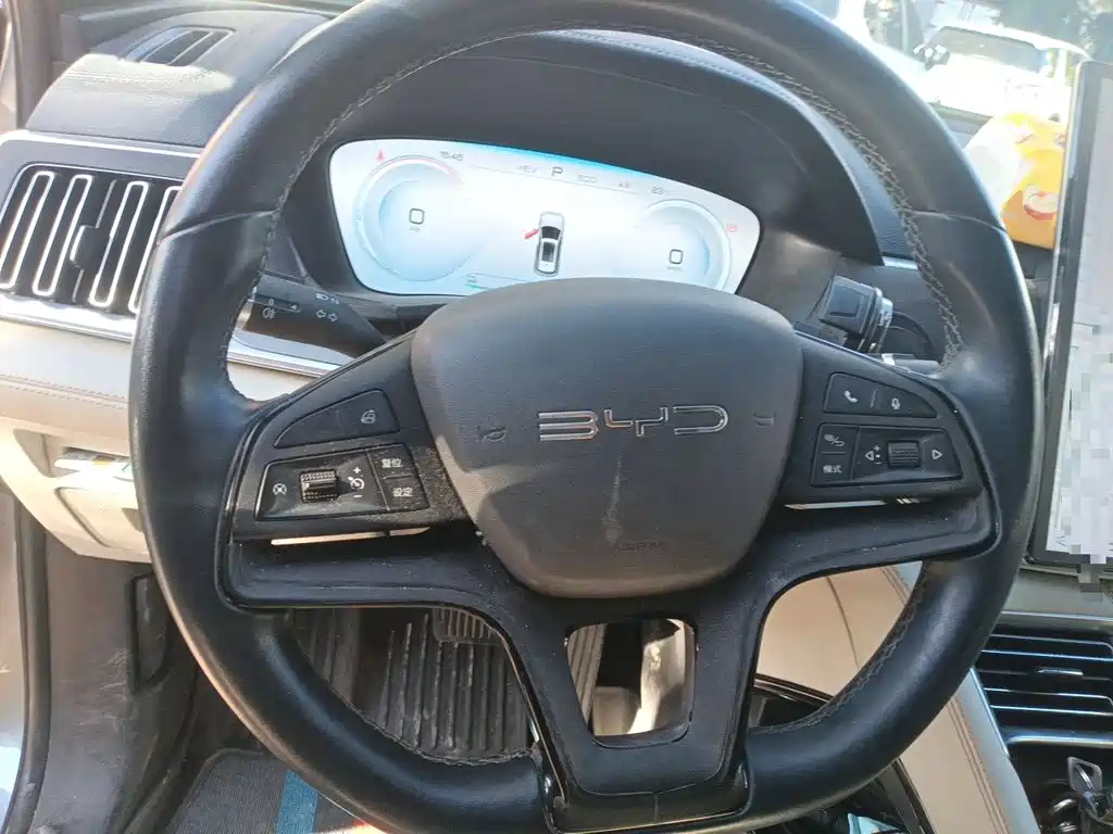 BYD PLUS New Energy — фото 11