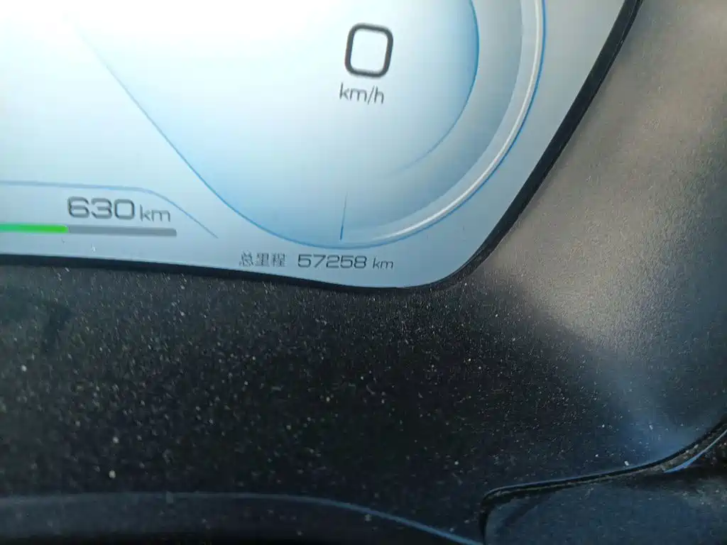 BYD PLUS New Energy — фото 13