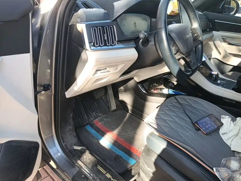 BYD PLUS New Energy — фото 17