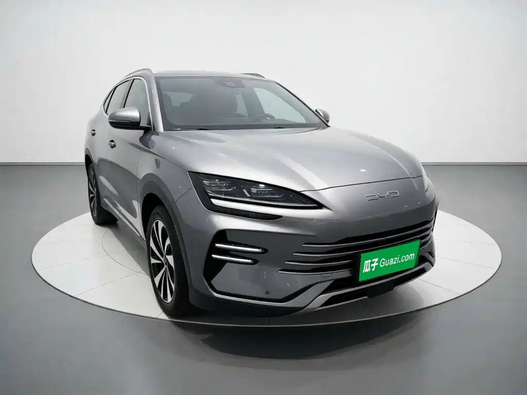 BYD PLUS New Energy — фото 3