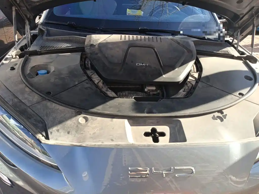 BYD PLUS New Energy — фото 21