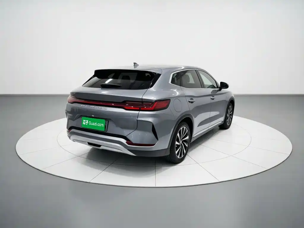 BYD PLUS New Energy — фото 6