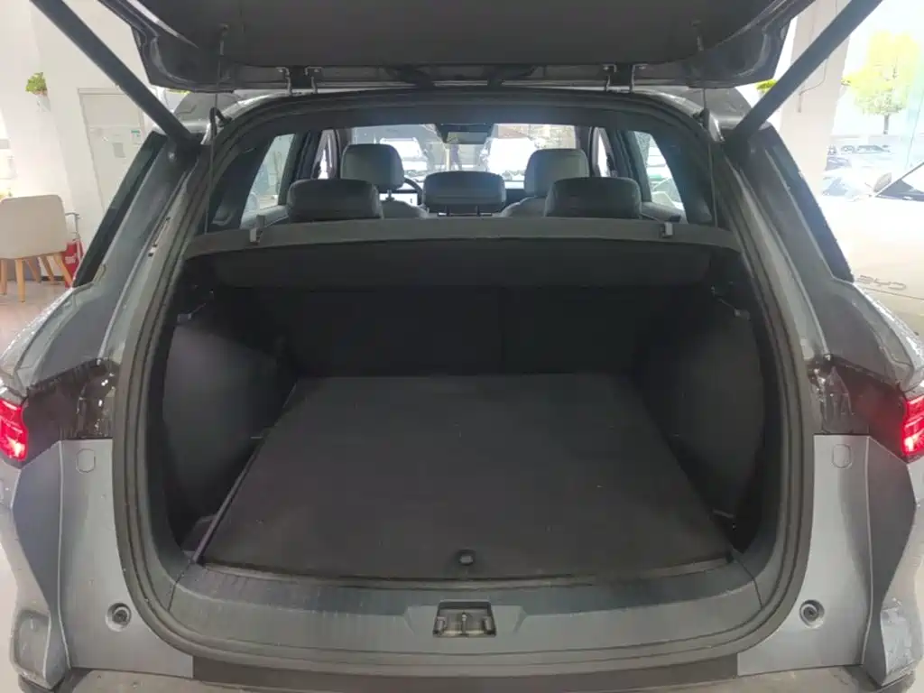 BYD Pro New Energy — фото 19