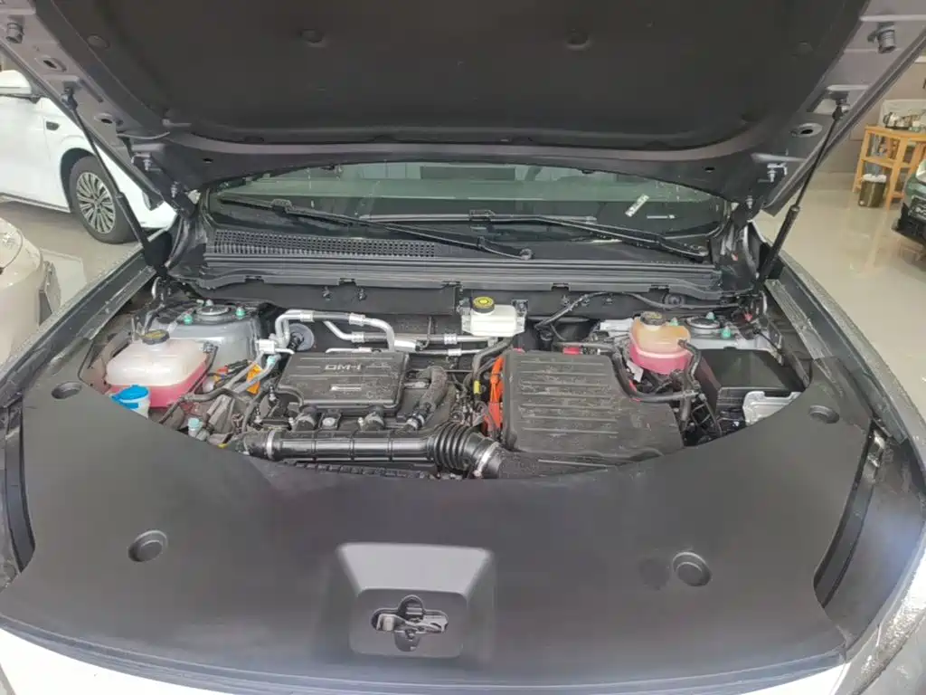 BYD Pro New Energy — фото 20