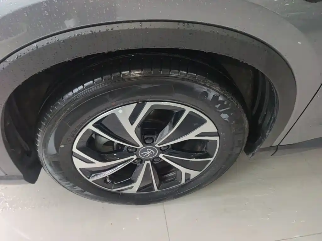 BYD Pro New Energy — фото 23
